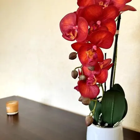 شقة Proche De L'hyper-centre Avec Garage كان